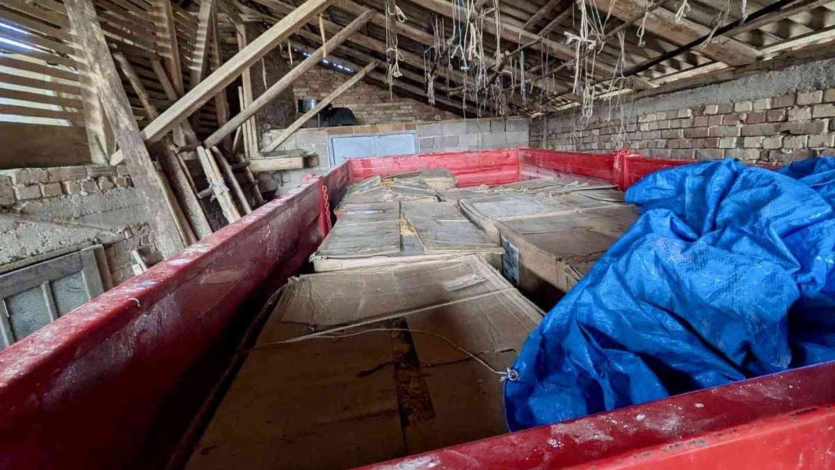 Žena oštetila budžet Srbije za više od 6 miliona: Velika akcija policije