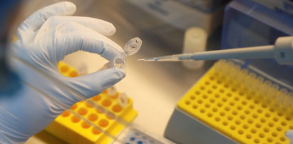 Poznański prototyp szczepionki na koronawirusa. Za 8 miesięcy mogą ją dostać pierwsi pacjenci