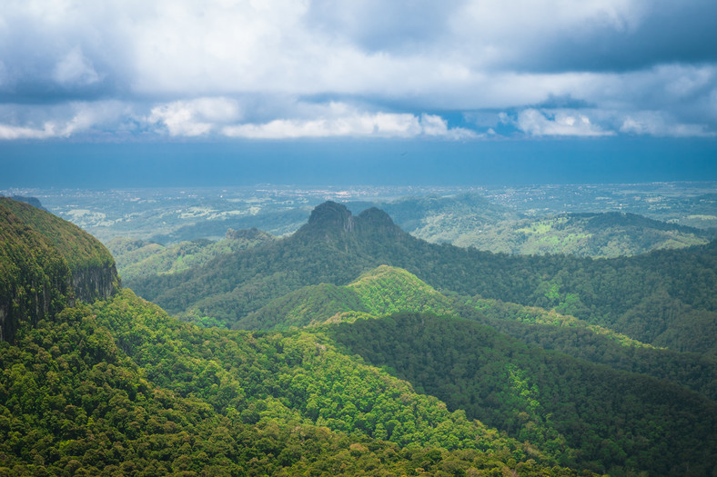 Springbrook national park, Queensland, Australia