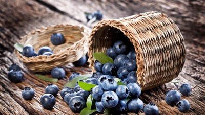 Blueberries have dropped from the basket