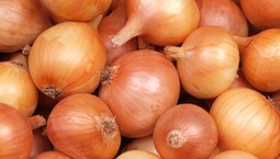 Koniecznie posadź obok cebuli. Te warzywa sprawią, że urośnie zdrowa i dorodna