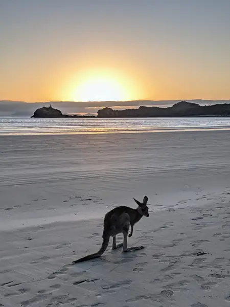 Australia okiem Magdy Wąsali.