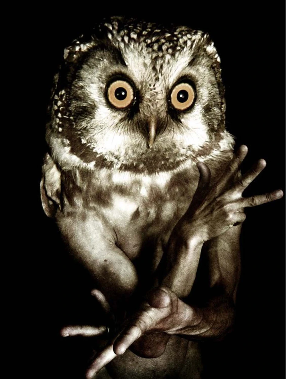 Foto: Francesco Sambo