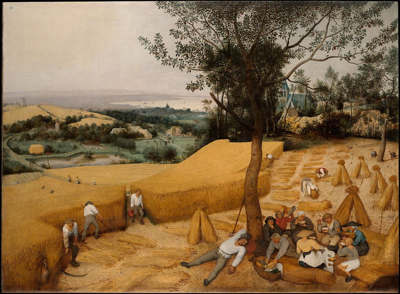 Żniwiarze, obraz Petera Brueghela Starszego z serii pory roku. (domena publiczna)