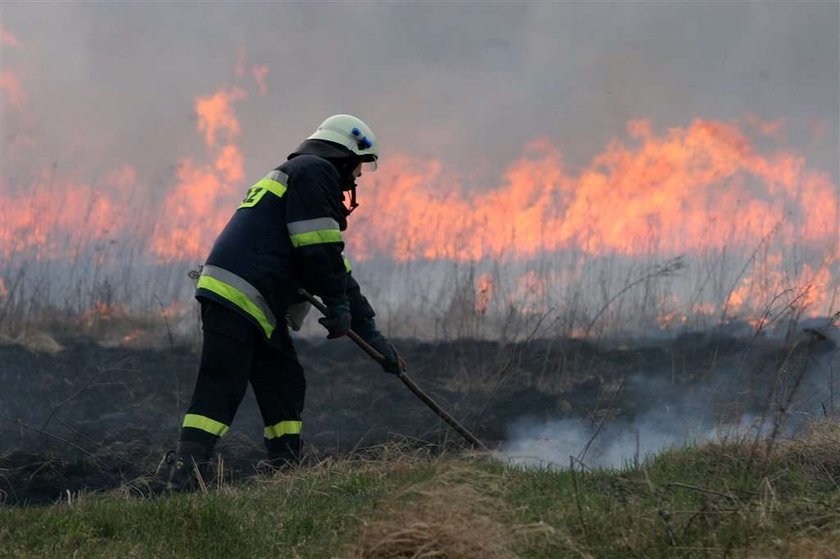 Spłonął, bo chciał mieć ogródek!