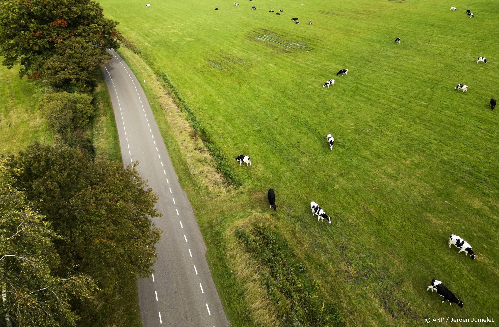 Van 120% naar 110%: opkoopregeling voor veehouders fors versoberd