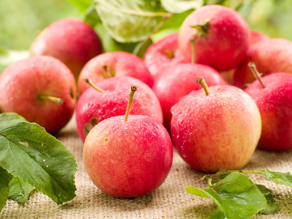 10. Superodchudzające produkty: jabłka 