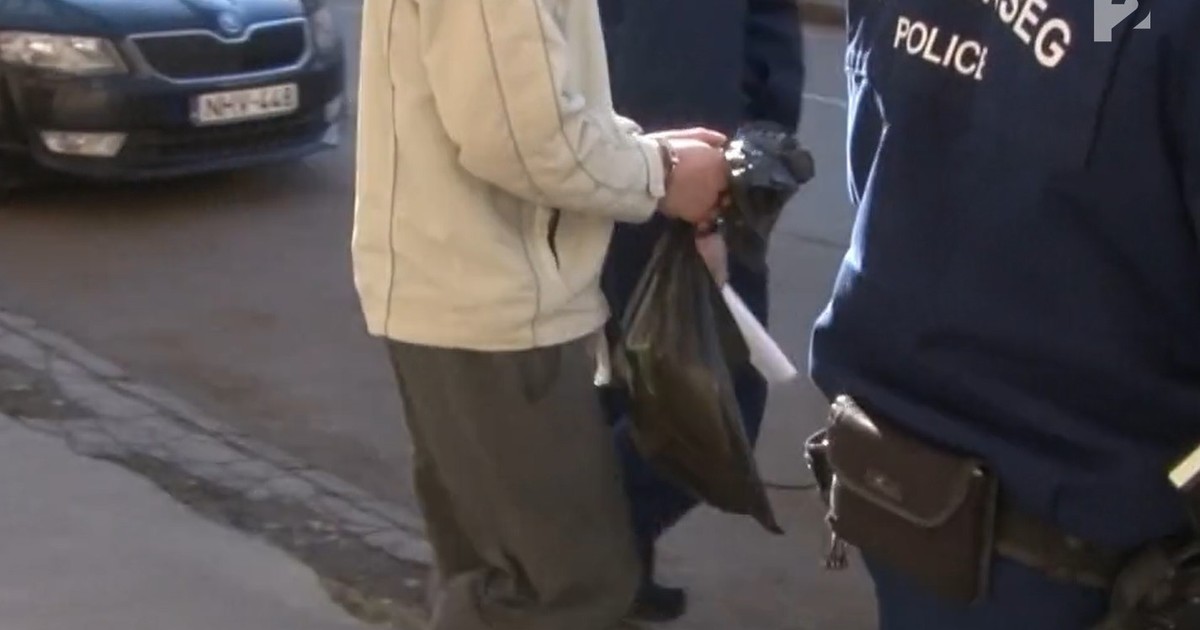 Megerőszakolta, majd agyonverte a nagymamáját a borsodi szörnyeteg: sokkoló részletek derültek ki – videó