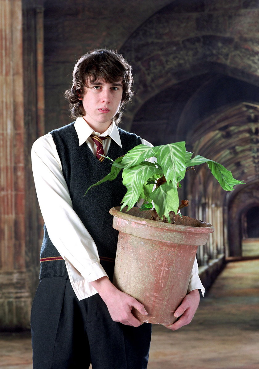 Matthew Lewis w „Harrym Potterze” (2005)