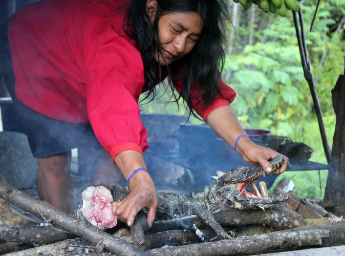 Śniadanie z kajmana