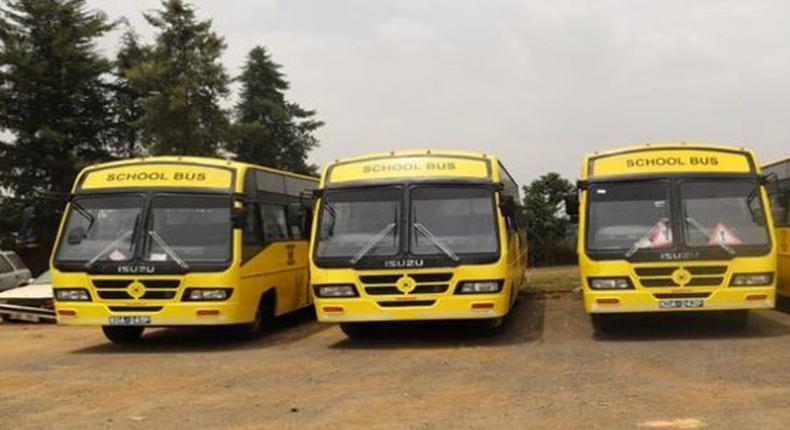 A file image of school buses