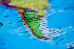 Chile szczepi przeciwko SARS-CoV-2 lwy, tygrysy, pumy i orangutany