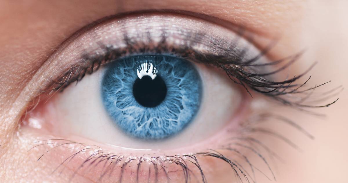 Emberi szem – Wikipédia