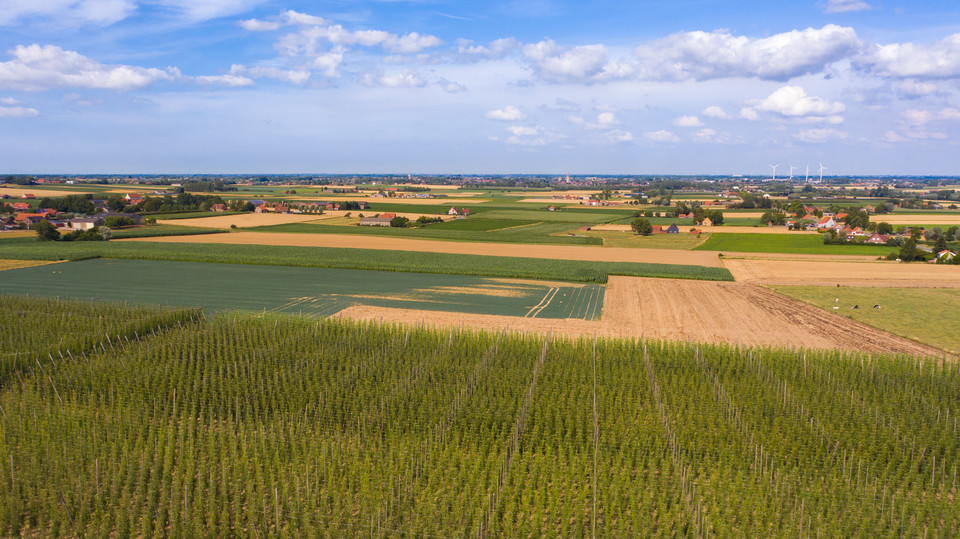 Westhoek, Belgia