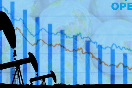 Ropa naftowa tanieje. OPEC planuje cięcia w dostawach surowca