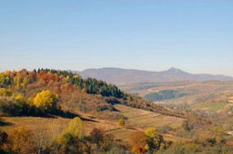 "Bojkowszczyzna". Oto nowy park narodowy w Bieszczadach