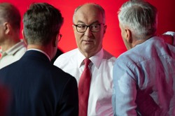 Wybory 2023. Co Lewica oferuje zwierzętom. "Jesteśmy jedyni"