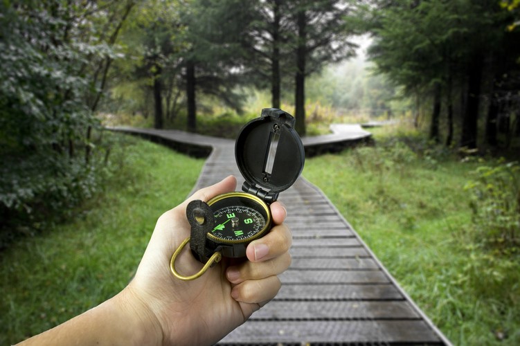 Biegi na orientację, czyli orienteering - to dyscyplina sportu, która jest bardzo popularna w Szwecji. To połączenie ćwiczenia umysłu, ciała i cierpliwości naraz.