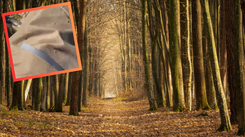 Leśnik pokazał nagranie z lasu. Dla wielu to przerażający widok