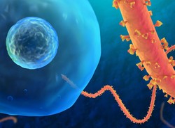 Uwaga! Lawinowy wzrost zachorowań na Ebolę