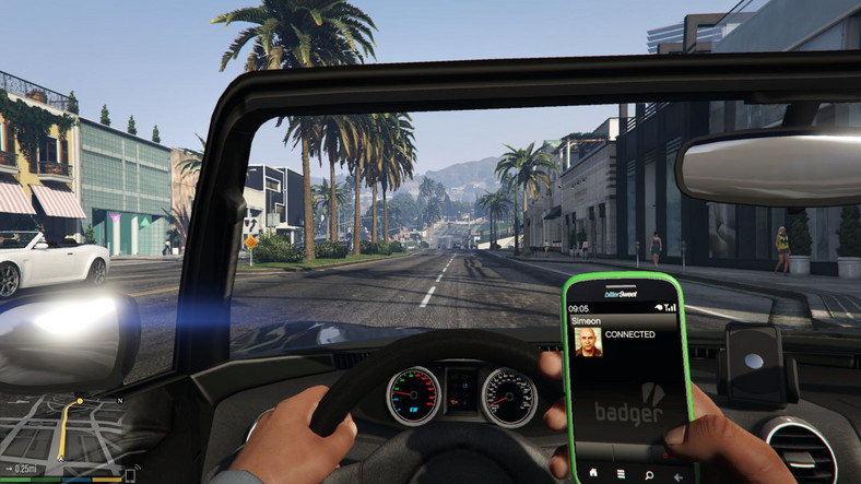 GTA V Grand Theft Auto 5