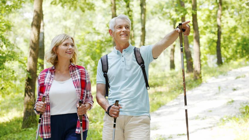 nordic walking, szívbetegség, koszorúér-betegség, skandináv gyaloglás, síjárás, botsport