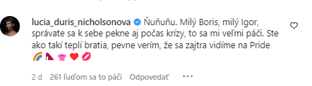 Komentár Lucie Ďuriš Nicholsonovej.