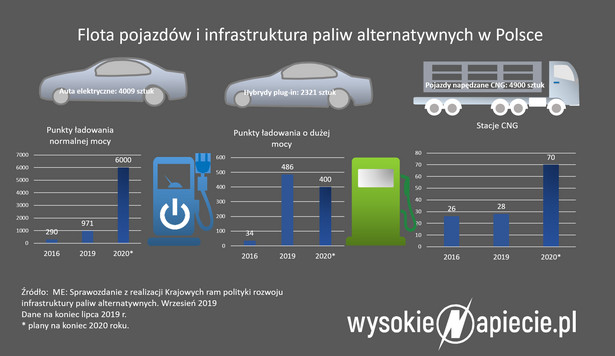 Flota pojazdów i infrastruktura paliw alternatywnych w Polsce