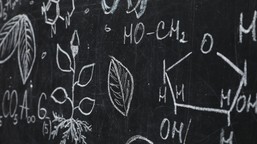 QUIZ. Proste pytania z biologii. Niektóre są z matury. 6/12 to minimum