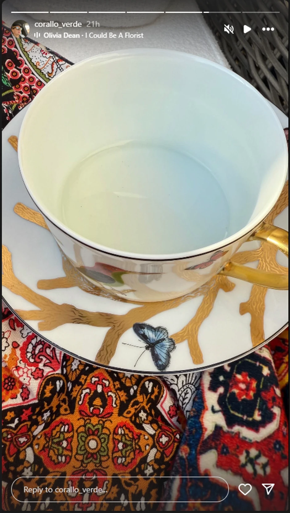 Dvorište Branke Nevistić