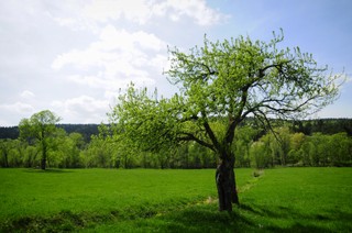 Natura 2000 będzie większa. Samorządy chcą rekompensat