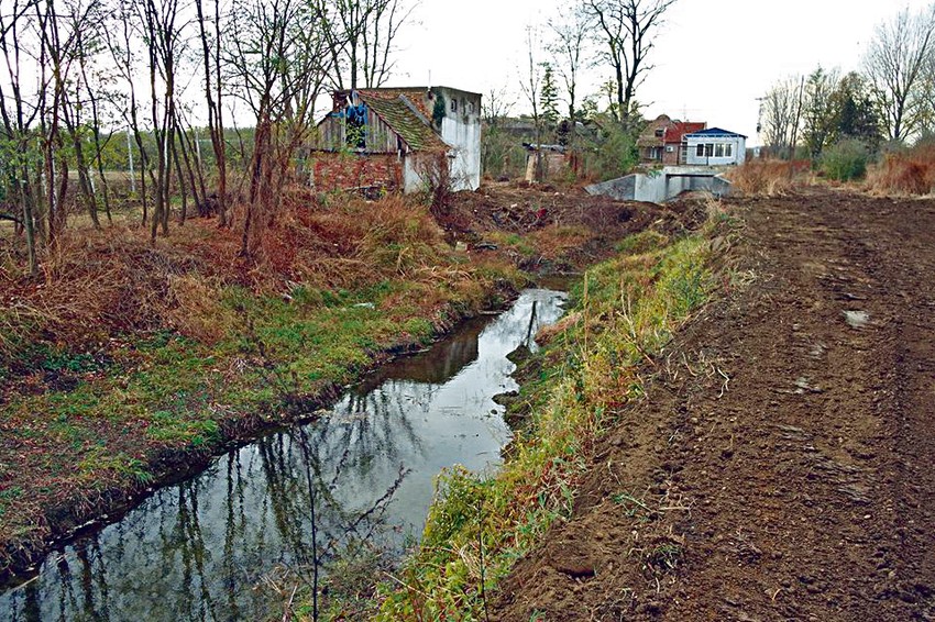 Nera je jedina planinska reka u Vojvodini, stiže sa rumunske planine Semenik koja je deo Karpata