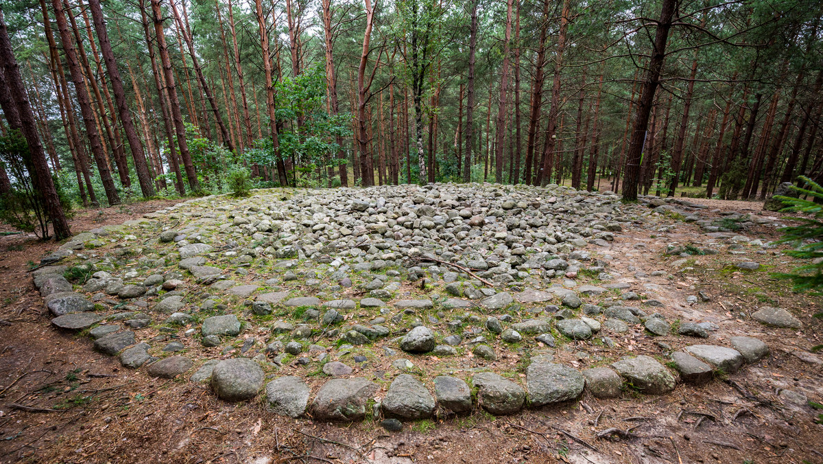 Polskie Stonehenge - zagadkowe kamienne kręgi w Węsiorach