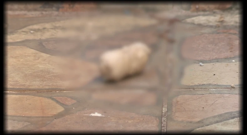 Aneli Ahmić kuća Sarajevo