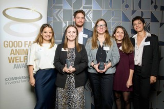 Lidl jako jedyna firma w Polsce z nagrodą Good Egg Award 2024!