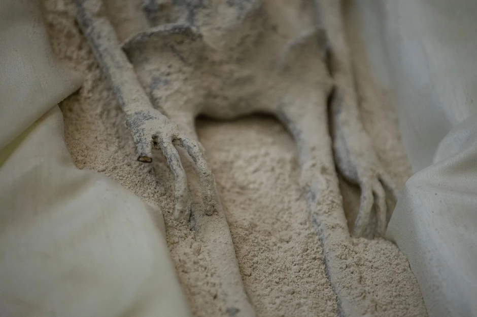 "Tela vanzemaljaca", Meksiko