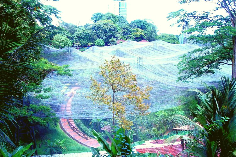 Motylarnia w Kuala Lumpur jest największym takim parkiem na świecie - rozciąga się na powierzchni prawie 7,5 tys metrów kwadratowych i jest domem dla 5 tys. gatunków motyli, egzotycznych roślin i paproci. Fot. materiały redakcji