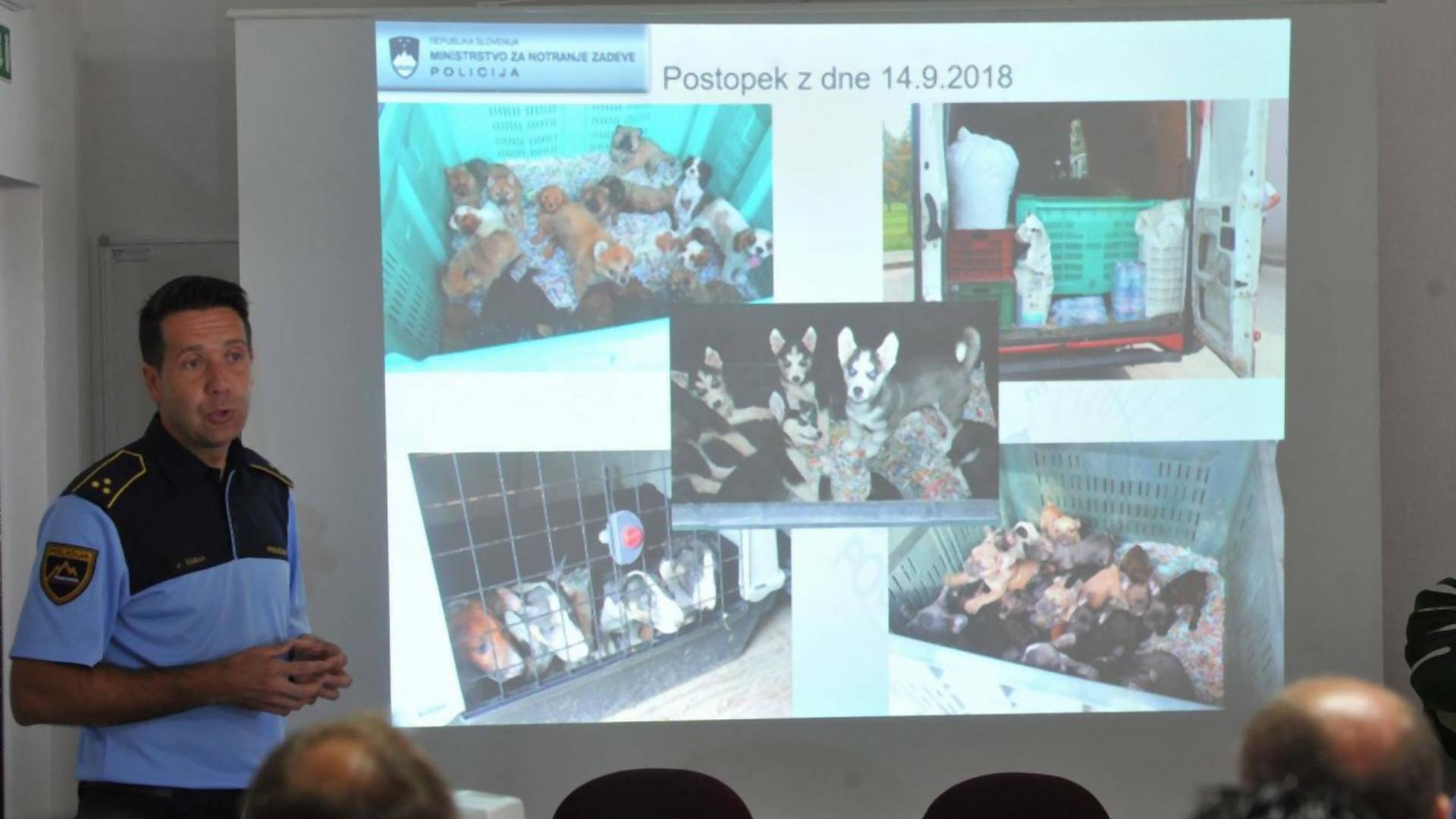 Virágzik a kutyaszaporítás: 107 kölyköt foglaltak le a rendőrök a magyar-román határról