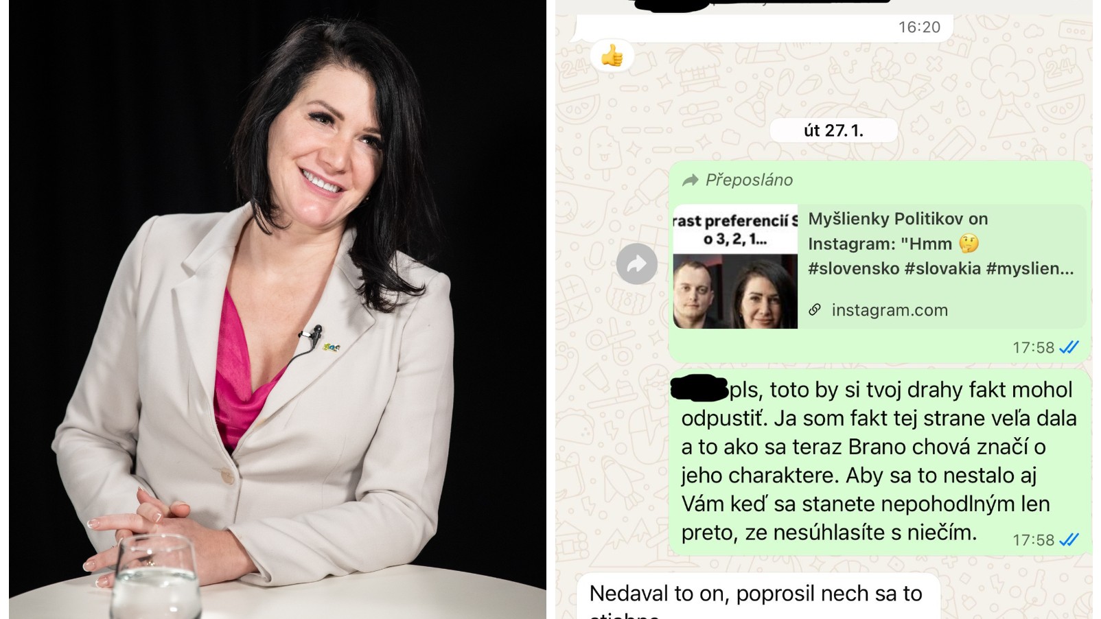 Jana Bittó Cigániková zverejnila správy, ktoré si vymenila s poslankyňou SaS