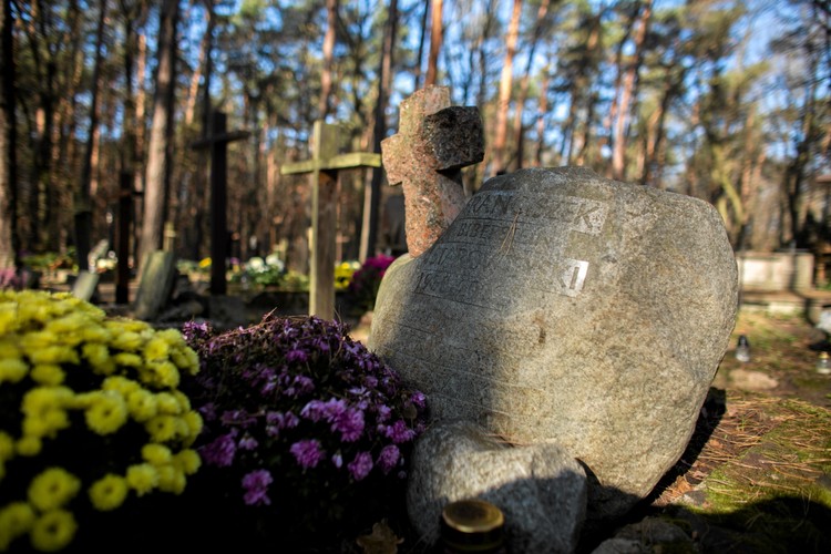 Cmentarz leśny w Laskach