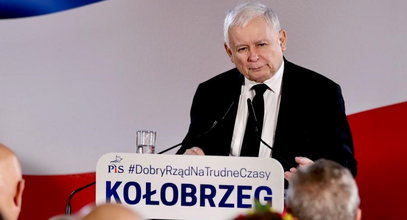 Już wiadomo, skąd Kaczyński wziął historię o "znikających kartoflach dla dzików". To wiele tłumaczy...