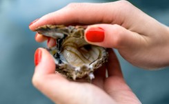 10 superproduktów na poprawę odporności. Warto je teraz jeść