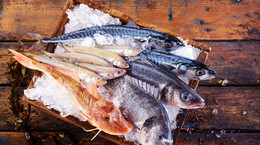Dziewięć najzdrowszych gatunków ryb. Warto jeść przynajmniej dwa razy w tygodniu