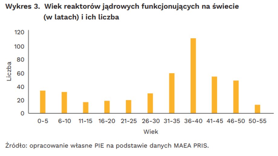 Po latach stagnacji rośnie liczba nowych reaktorów