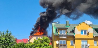 Pożar domu w Zgierzu. Dach płonął jak pochodnia