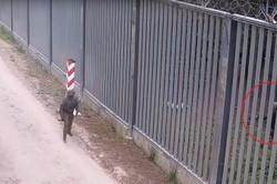 Napad na granicy. Zamaskowani agresorzy zaatakowali znak z polskimi symbolami