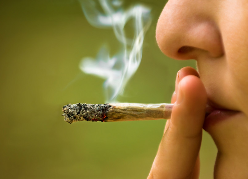 Zielińska (KO, Partia Zieloni): Do 20 kwietnia projekty w sprawie legalizacji marihuany