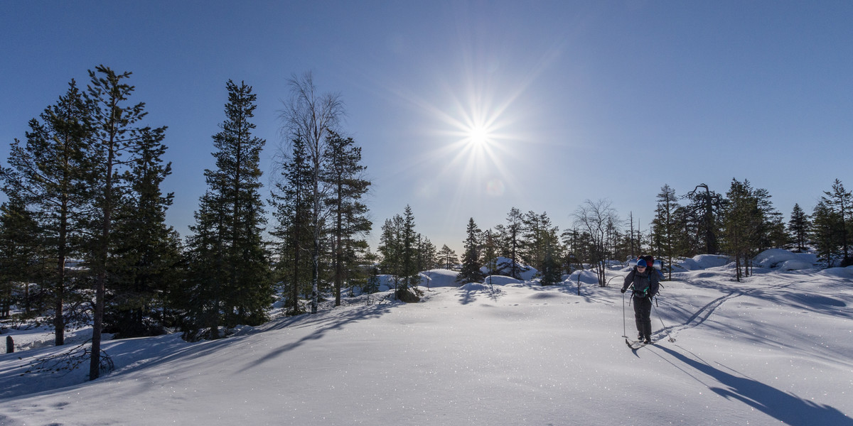 Doskonałym kierunkiem podróży dla samotników jest biały, cichy i przepiękny krajobraz Laponii