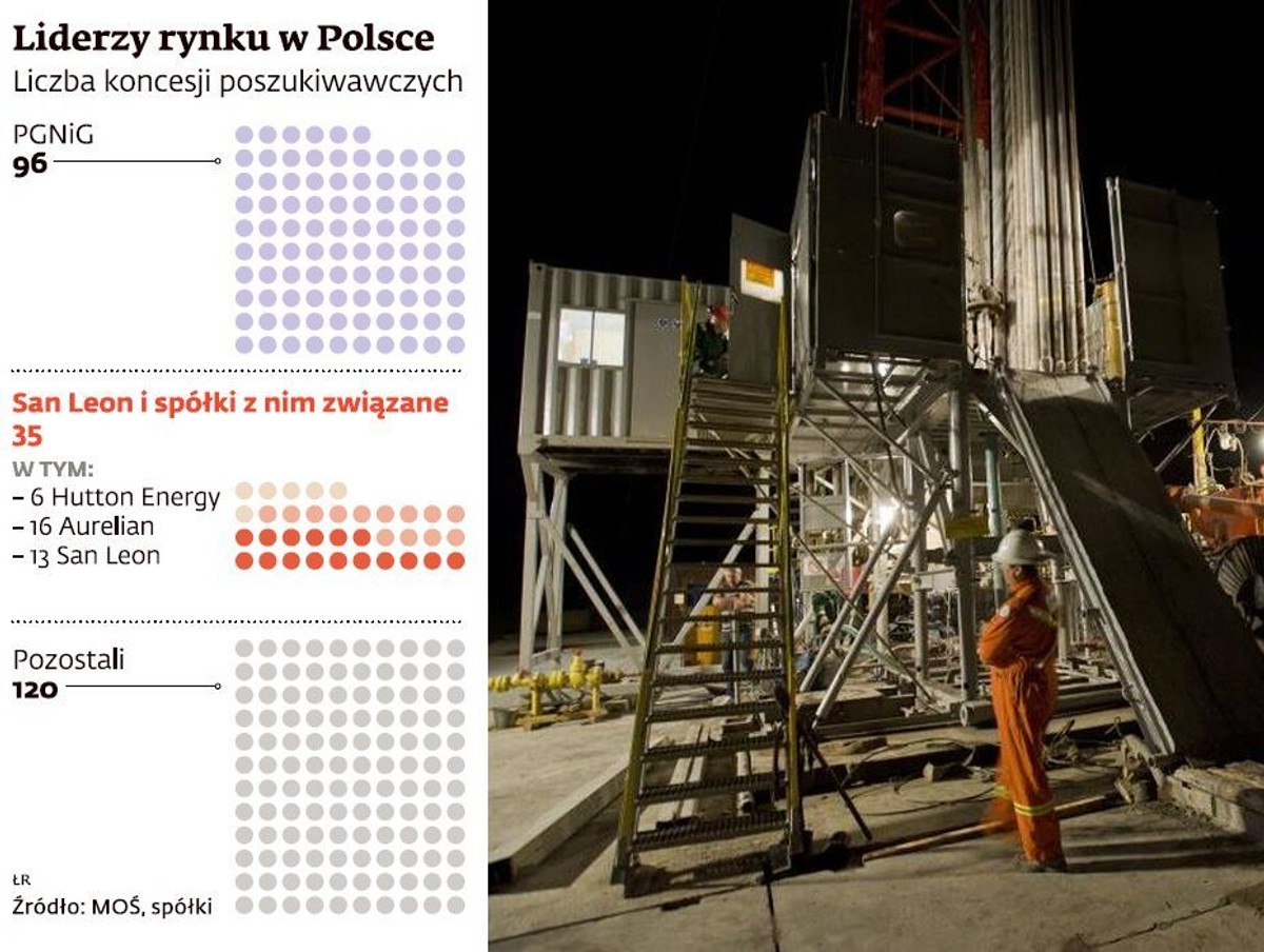 Liderzy rynku w Polsce
