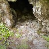 "Duvaljke" iz planine u Muotatalu u Švajcarskoj